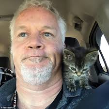 Preventing Cat Accidents in Car Engines During Cold Weather