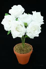 At wholesale flowers and supplies, all flowers have a home. Warehouse Craft Supplies Toledo Oh Wholesale Craft And Floral Supplies