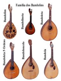 The Family Of Mandolin And Its History Mandolin Instruments Indian Musical Instruments