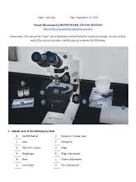 What happens to a cell when it is in different environments? Julie Bui Virtual Microscope Lab Worksheet Microscope White Blood Cell