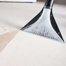 Thomas »protex« teppichreiniger (2 liter) für 16,99€. Teppich Und Polsterreinigung Karcher