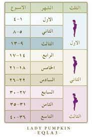 هذه جملة وافرة من كبار علماء أهل السنة والجماعة الدالة على جواز إتيان المرأة في دبرها، منقولة عن بعض الصحابة والتابعين وأئمة أهل السنة أما مسألة إتيان الدبر عند النساء مباحة عند بعض علماء أهل السنة، ولا معنى للتنصيص على اجتناب خصوص الفرج فقط إلا الحث على. Ø§Ù„ØªØ¬Ù…Ø¹ Ø§Ù„ 25 Ù„Ø£Ø­Ù„Ø§ Ø­ÙˆØ§Ù…Ù„ Ø§Ù„ØªÙˆØ§Ø¦Ù… Ø¹Ø§Ù„Ù… Ø­ÙˆØ§Ø¡