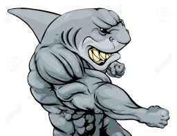 A Tough Muscular Shark Character Sports Mascot Attacking With Tiburones Cruzadas Insignias