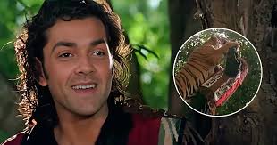 Animal Fame Bobby Deol Recalls Facing A Real Life Wild Animal In The  Siberian Tiger Rescuing From A Near-Death Experience, Says "I Had To Stop  Him With My Hand"