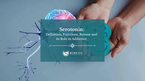 Image result for Serotonin
