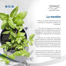 La Menthe Aliments Bons Pour La Sante Aliment Anti Cancer Alimentation Et Sante