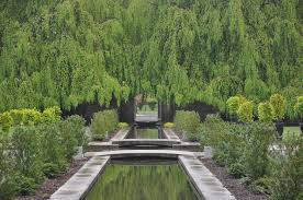 A Curtain Of Leaves Hangs Over The Gate Of The Walled Garden At Untermyer Gardens The Weeping European Beeches Le Landscape Garden Styles Hudson River Valley