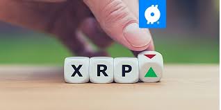 Xrp / ripple meme community. Njz1uqwvbcpjym