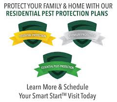 You can count on our expert exterminators at guardian termite & pest control, llc to clear out and clean up your home or business property from any and all pests. The Guardian Gregory Pest Solutions