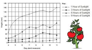 Printable line graph worksheets for primary and intermediate students. Interpreting Graphs