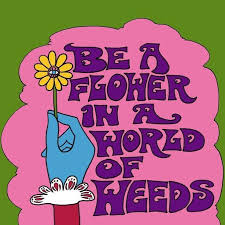 Free Mp3 Audio Mindset Training Instantly Rewire Your For Incredible With This Free Audio Listen Once To Increase Your Multi Millionaire Learn How To M Flower Prints Art Art Collage