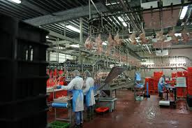 Deze professionele mountainbiker is niet bang. Slachterij Remkes Neemt Minderheidsbelang In G P S Boerderij