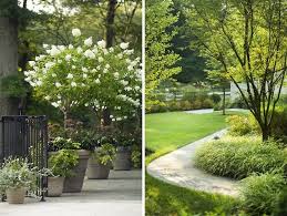 Restoring Balance Garden Design Garden Design Backyard Landscaping Designs Hydrangea Tree