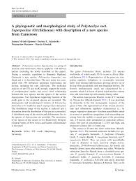 Image result for Polystachya ruwenzoriensis