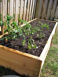 40 Raised Bed Using Fence Posts Going To Build Some Raised Beds This Spring Cedar Raised Garden Vegetable Garden Raised Beds Cedar Raised Garden Beds