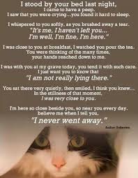 Sweet Poem On Saying Goodbye To A Beloved Pet Description From Pinterest Com I Searched For This On Bing Com Image Pet Remembrance Pet Poems Cats And Kittens