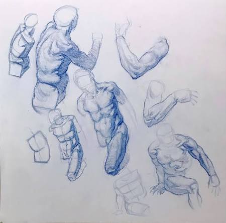 Constructive Figure Drawing: Action, Structure, and Design | Gage Academy  of Art