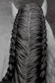 Le Cheval Qui Est Seul A Courir Passe Pour Un Bon Coursier Horse Braiding Horse Hair Braiding Horse Grooming