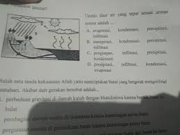Penguapan atau evaporasi adalah jalur utama bahwa air bergerak dari keadaan cair kembali ke siklus air sebagai uap. Pengertian Evaporasi Kondensasi Presipitasi Infiltrasi Brainly