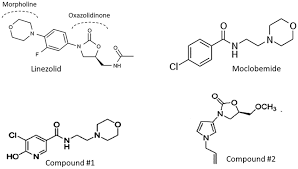 Image result for Linezolid