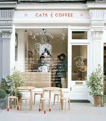 Een Bar Met Mijn Twee Favorieten Dingen Katten Koffie Cafe Design Monocle Cafe Coffee Shop Design