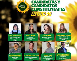 Estos son los candidatos constituyentes por listas Partido Ecologista Verde Presenta Sus Candidatos A Constituyentes Por El Distrito 20 Radio Udec