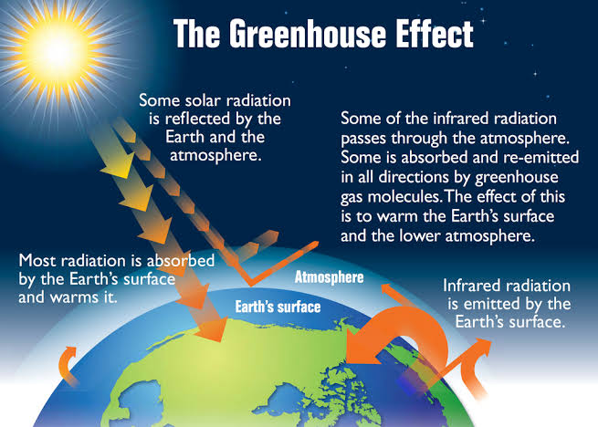 Image result for What is the greenhouse effects."