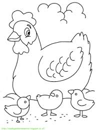 Pin Di Ayam