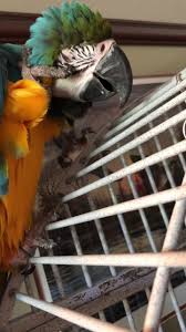 A petting zoo (often called, or part of, a children's zoo) features a combination of domesticated animals and some wild species that are docile enough to touch and feed. D5o3r Huz52hnm