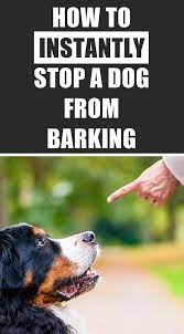 How To Instantly Get Your Dog To Stop Barking Dog Training Dogs Dog Care