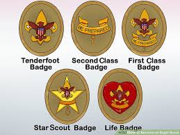 How To Become An Eagle Scout 13 Steps With Pictures Wikihow