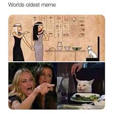 They Knew Historical Memes Funny Cat Memes Funny Vid