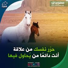 حر ر نفسك من علاقة أنت دائم ا من ي حاول فيها movie posters poster movies
