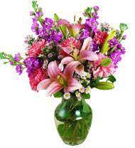 Check spelling or type a new query. Alabama Florists Flowers Avas Flowers