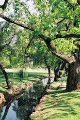 Magnolia Dell Park 1232 South Afrika Africa South Africa