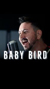 SINGLE DROPS TOMORROW! , Baby Bird is about a newborn nestling whose mother  had to leave during a storm, resulting in the baby learning to fly