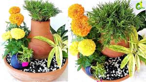 There is a great variety of pots in stores and nurseries. Creative Flower Pot Plants Arrangement Ideas Flower Pot Ideas Organic G Flower Pot Garden Plants Planter Organic