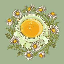 Let's look at this drink and its potential health benefits. Cup Of Chamomile Tea Tea Art Art Wallpaper Aesthetic Art