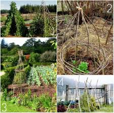 Take a look through our plant supports and garden canes to help your plants and climbers flourish. Pinterest Challenge Diy Bean Teepee Garden Supports 17 Apart