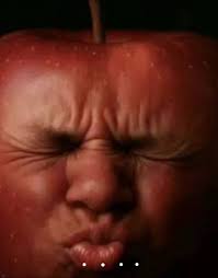 Maximus Williams (@maximus.williams2)