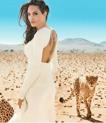 Pin By Raihana Noori On Animal Instinct Beautiful Bollywood Actress Angelina Jolie Photos Angelina Jolie Quotes