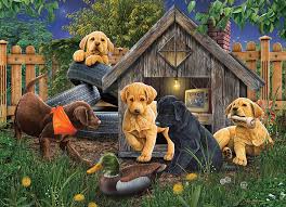 Cobble hill / outset media 1000 piece puzzle christmas on the farm. Cobble Hill Home Is Where The Dog Is By Artist Rosemary Millette 1000 Piece Jigsaw Puzzle Toys Games Jigsaw Puzzles