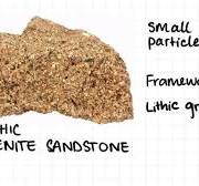 1.14 Sedimentary Rocks Rock Classification Examples