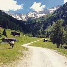 Der talschluss bis zum tuxer hauptkamm bildet das naturschutzgebiet valsertal. Tirol Valsertal Vals Austria Nokangoorosjustmuhlikuhs Beautifulcountry Sun Mountains Bluesky Cow Trees Iloveaustria Tirol Instagram Tyrol