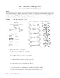 Plus, get practice tests, quizzes, and personalized coaching to help you succeed. Dna Pogil Pdf Fill Online Printable Fillable Blank Pdffiller