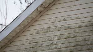 Suitable for hand and pressure washer usage these cleaning solutions work to remove dirt, grime and mold. Here S How To Clean Vinyl Siding On Your House Reviewed