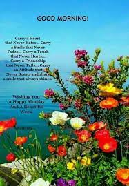 Check spelling or type a new query. 56 Best Good Morning Flowers Images Boom Sumo