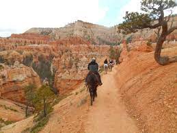 Maybe you would like to learn more about one of these? Horseback Ride Bryce Canyon Picture Of Canyon Trail Rides Bryce Canyon National Park Tripadvisor