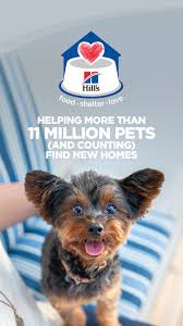 Learn About The Hill S Food Shelter Love Program Cute Animal Memes Animal Nutrition Cute Dogs And Puppies