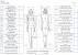 How To Measure Dress Size Chart